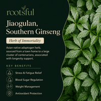 Jiaogulan - Southern Ginseng