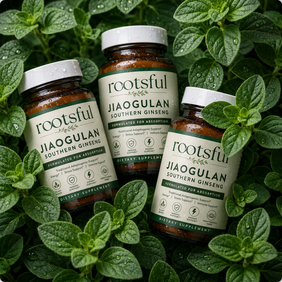Jiaogulan Southern Ginseng